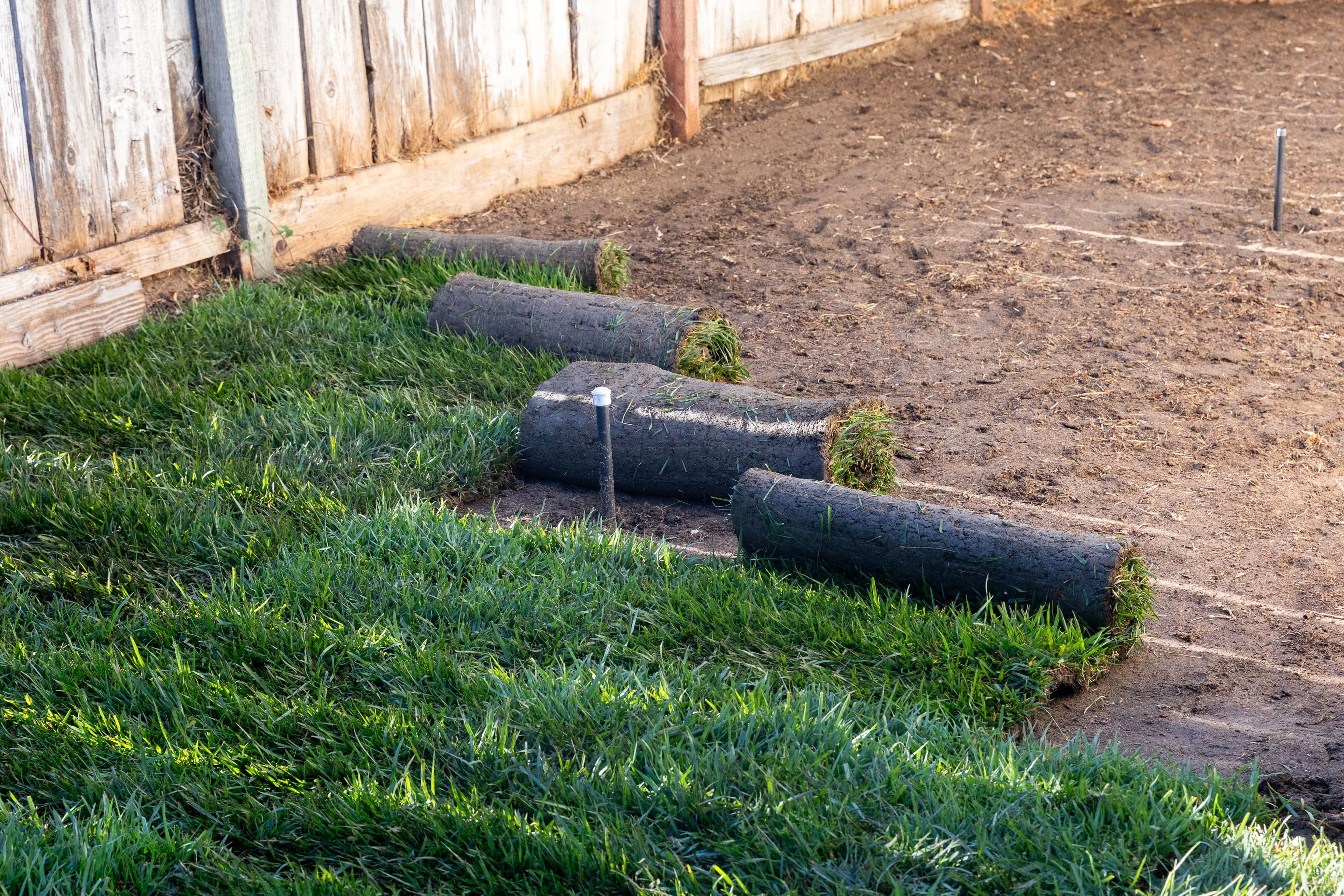 Sod Installation